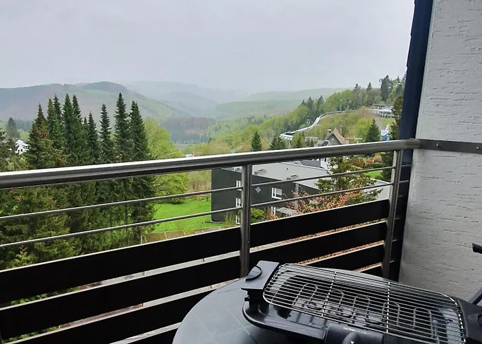 Winterberg Appartement 21123